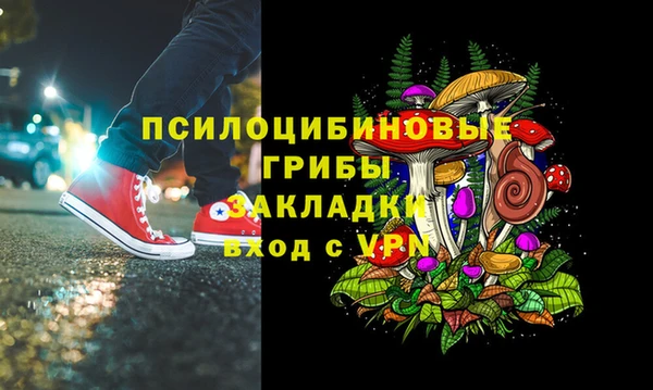 бошки Аркадак