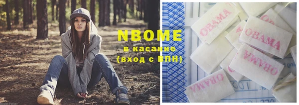 прущая мука Арсеньев