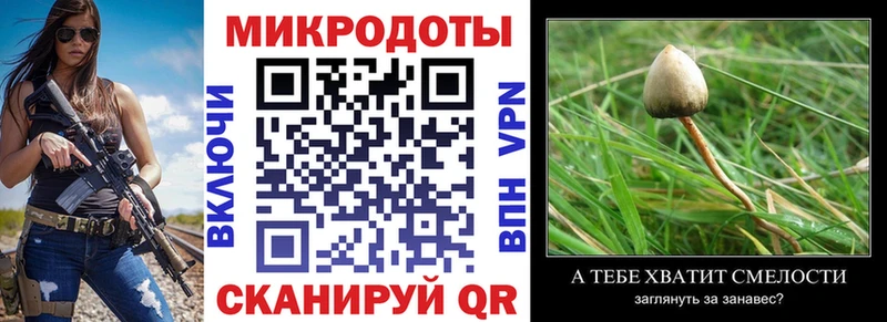 Псилоцибиновые грибы мицелий  Медынь 